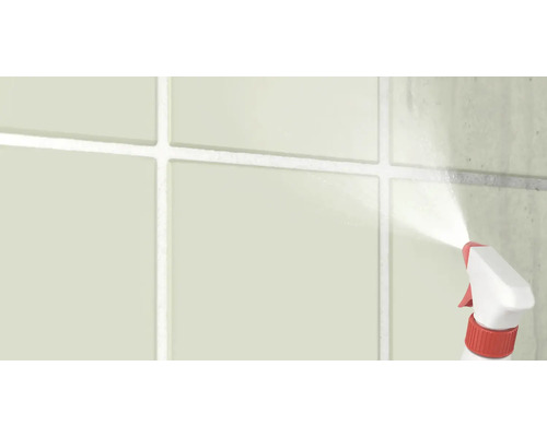 Sprühflasche reinigt Fliesenwand