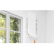 Ein Raum mit Fenster und Schimmelbefall an der Wand, der mit einer Farbwalze behandelt wird.