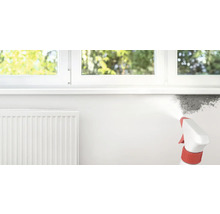 Sprühflasche wird verwendet, um Schimmel an der Wand zu entfernen.