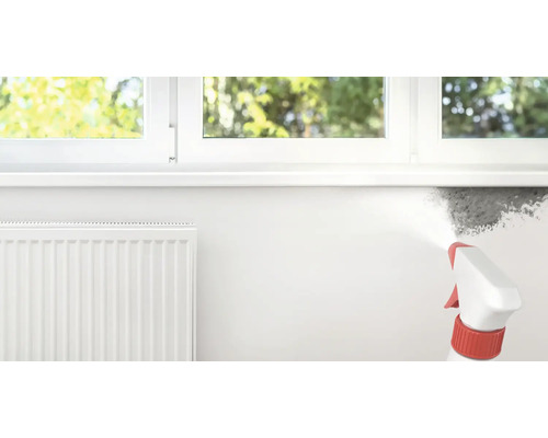 Sprühflasche wird verwendet, um Schimmel an der Wand zu entfernen.