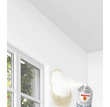 Anwendung von Alpina Schimmelentferner Spray zur Beseitigung von Schimmel und Flecken an einer Innenwand