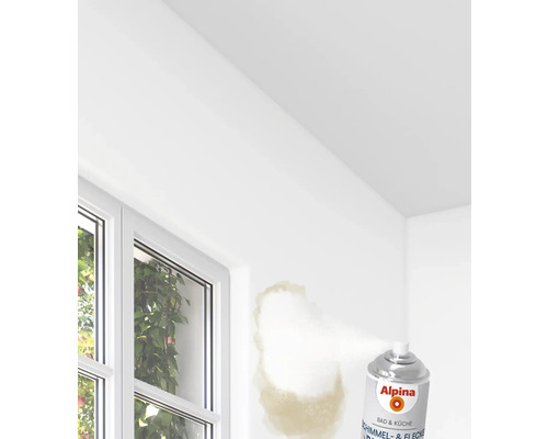 Anwendung von Alpina Schimmelentferner Spray zur Beseitigung von Schimmel und Flecken an einer Innenwand