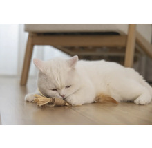 Eine weiße Katze liegt mit einem Katzenspielzeug auf dem Boden.