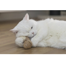 Weiße Katze liegt mit Spielzeug auf dem Boden