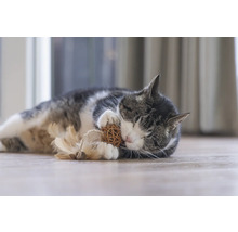 Katze liegt auf dem Boden und spielt mit Spielzeug.