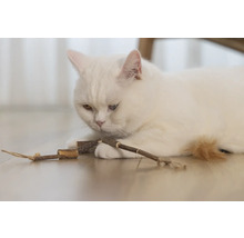 Eine weiße Katze liegt auf dem Boden und spielt mit einem Spielzeug aus Holz.