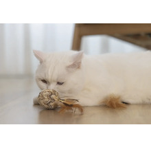 Weiße Katze mit Spielzeugball auf dem Boden