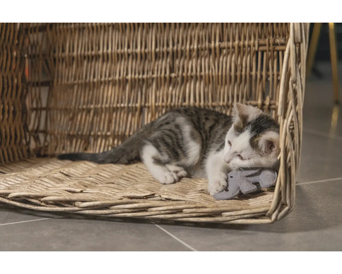Eine Katze ruht in einem geflochtenen Katzenkorb und hält ein Spielzeug