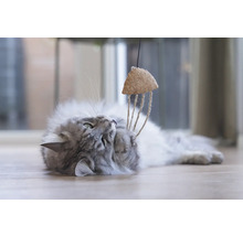 Graue Katze spielt mit Katzenspielzeug aus Kork und Seil