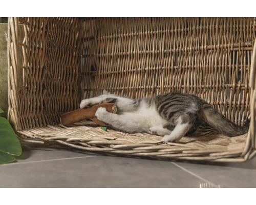 Katze spielt mit einem Spielzeug in einem Weidenkorb