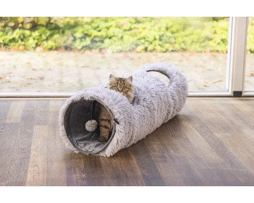 Katze in einem Katzentunnel auf einem Holzboden