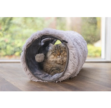 Katze im Katzentunnel