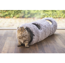Katze vor einem grauen Katzentunnel auf Holzboden