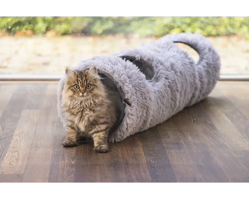 Katze vor einem grauen Katzentunnel auf einem Holzboden