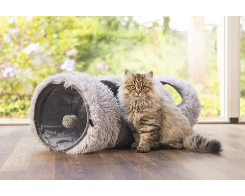 Katze vor einem flauschigen Katzentunnel mit Spielball