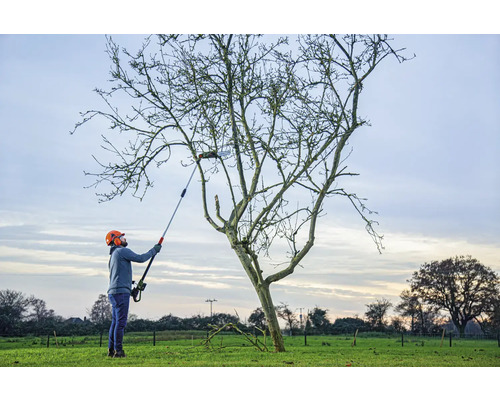 Eine Person benutzt eine Hochentaster, um einen Baum zu beschneiden.
