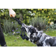 Person und Hund spielen mit einem Seilspielzeug mit Griff