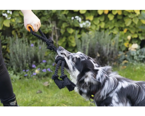 Person und Hund spielen mit einem Seilspielzeug mit Griff