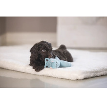 Brauner Welpe liegt auf einer hellen Decke und spielt mit einem Spielzeug