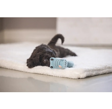 Ein brauner Welpe liegt auf einer weichen Hundematte mit einem Spielzeug.