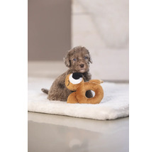 Ein Welpe mit seinem Spielzeug auf einer Decke