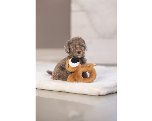 Ein Welpe mit seinem Spielzeug auf einer Decke