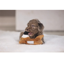 Ein Welpe kaut auf einem Hundespielzeug in Form einer Ente.