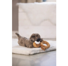 Kleiner Hund liegt auf einem Hundebett und spielt mit einem Spielzeug.