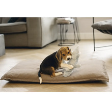 Beaglewelpe spielt mit einem Stofftier auf einem Hundekissen in einem Wohnzimmer.