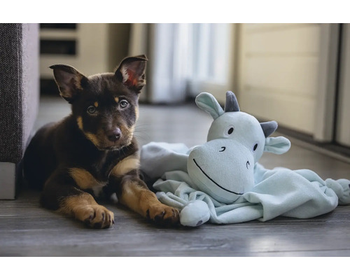 Ein Welpe liegt neben einem Stofftier auf dem Boden.