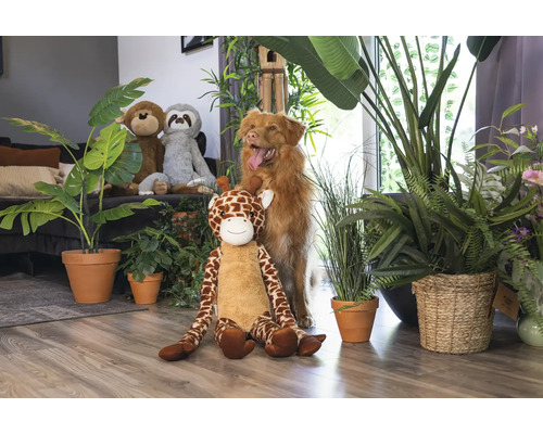 Szene mit Plüschtieren, Topfpflanzen und einem Hund