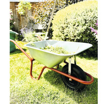 Schubkarre mit Gartenabfällen im Garten