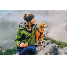 Frau mit Hund auf einem Felsen in den Bergen