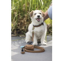 Hund mit brauner Leine und Kotbeutelspender