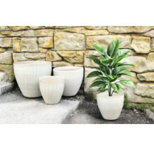 Gruppe von Pflanzgefäßen mit gerillter Oberfläche und eine Zimmerpflanze vor einer Steinmauer