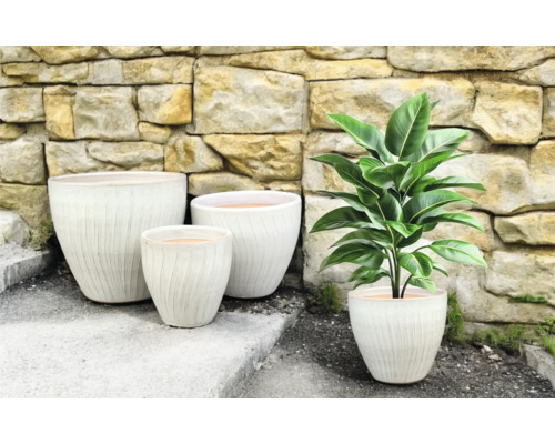 Gruppe von Pflanzgefäßen mit gerillter Oberfläche und eine Zimmerpflanze vor einer Steinmauer