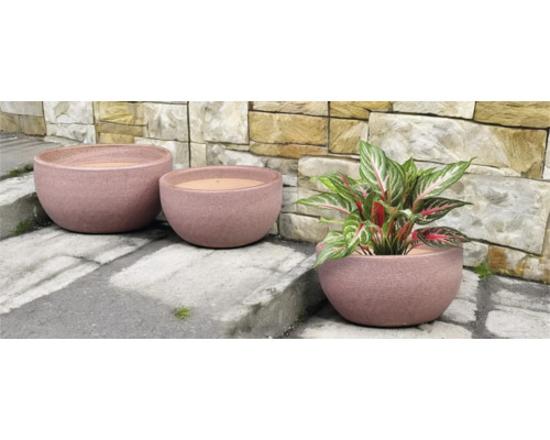 Drei runde Pflanzgefäße aus Steingut unterschiedlicher Größe mit Pflanze