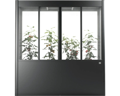 Gewächshaus mit Pflanzen