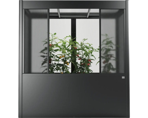 Hochbeet mit Gewächshausaufsatz und Tomatenpflanzen