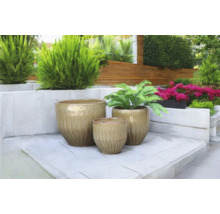 Szene mit drei Keramikblumentöpfen im Garten