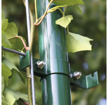 Detailansicht einer grünen Rankhilfe mit Befestigungselementen