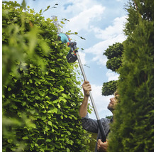 Eine Person schneidet mit einer Akku-Teleskop-Heckenschere eine Hecke.