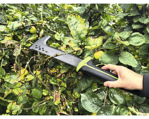 Person hält eine Astsäge in einem Baum.