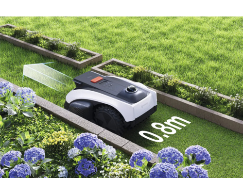 Mähroboter im Garten zwischen Beeten und Rasenflächen