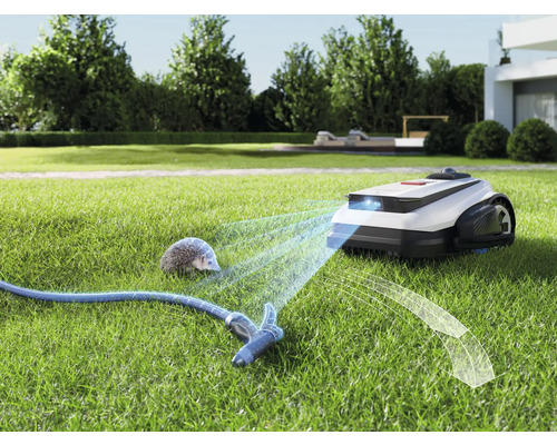 Rasenmähroboter auf einer Rasenfläche mit einem Gartenschlauch und einem Igel