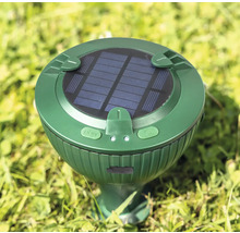 Solarbetriebener Maulwurfvertreiber im Gras