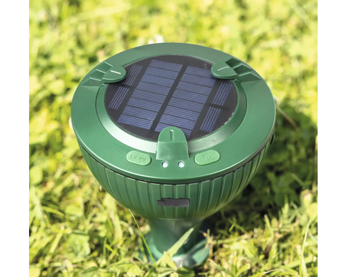 Solarbetriebener Maulwurfvertreiber im Gras