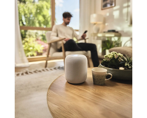 Einrichtung eines Wohnzimmers mit einem Smart Speaker auf einem Tisch.