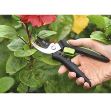 Gartenschere im Einsatz an einer Pflanze