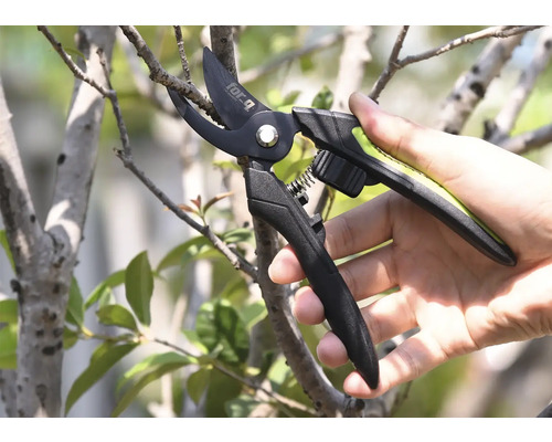 Gartenschere beim Schneiden eines Astes